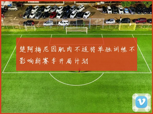 楚阿梅尼因肌肉不适将单独训练不影响新赛季开局计划